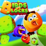 Birds Vs Blocks